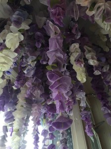 Ceiling decoration at the Birdhouse Cafe